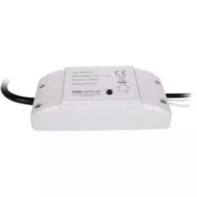 Module récepteur WifiGate - Connecté | Dimensions: 13x16x5 cm