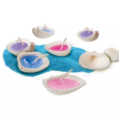 Transformez votre intérieur avec les Bougies coquillages - Inspiré par la nature