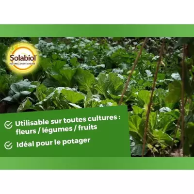 Engrais bleu SOLABIOL - Formule SOBLEU4 - 4 kg