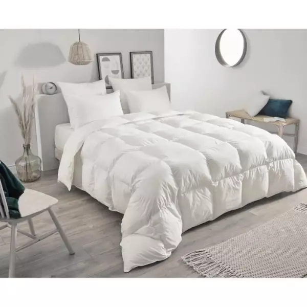 Couette - TOISON D'OR - Daisy chaude - 220x240cm - Plumette et duvet