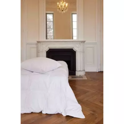 Couette Toison d'Or Daisy chaude 220x240cm - Plumette et duvet