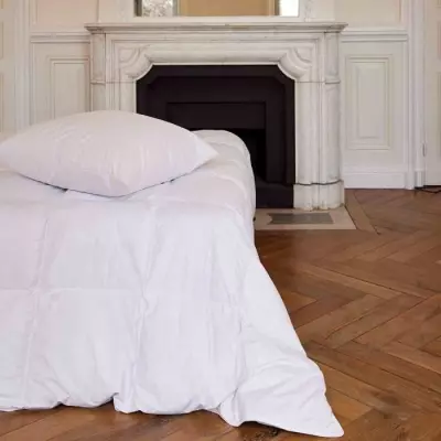 Oreiller TOISON D'OR Daisy en plumette et duvet 50x70cm - Blanc: douceur et confort assurés!
