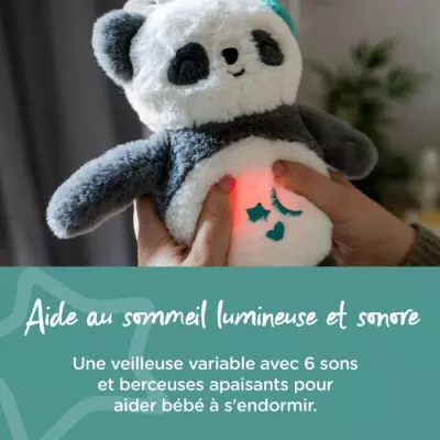 Veilleuse de luxe Tommee Tippee Pippo le Panda