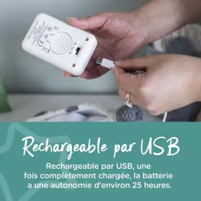 Veilleuse de luxe Tommee Tippee Pippo le Panda