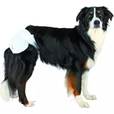 Couches pour chiens TRIXIE taille L - Protection efficace
