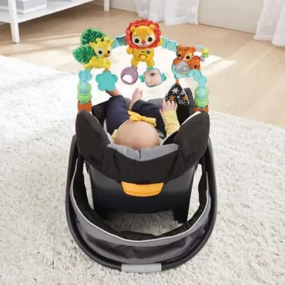 VTech ARCHE D'ÉVEIL MUSICALE DES BABY LOULOUS