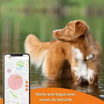 Traceur GPS pour Chien - Weenect XS Blanc (Édition 2023) Traceur GPS pour Chien - Weenect XS Blanc (Édition 2023)