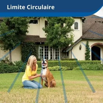 Collier récepteur sans fil pour animaux de compagnie - Compact et efficace
