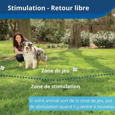Collier récepteur sans fil pour animaux de compagnie - Compact et efficace