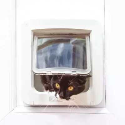 Chatière Connectée SureFlap Grande Taille - Blanc - 178 mm x 170 mm