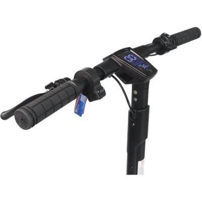 Trottinette électrique DUALTRON Dolphin 450W - 9 pouces - 25 km
