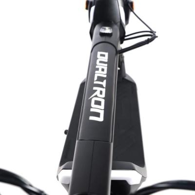 Trottinette électrique DUALTRON Dolphin 450W - 9 pouces - 25 km