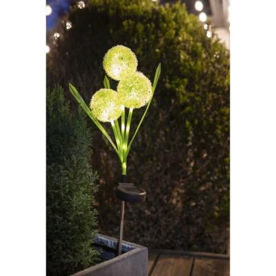 Décoration lumineuse solaire: Fleurs éclatantes - GALIX G4510