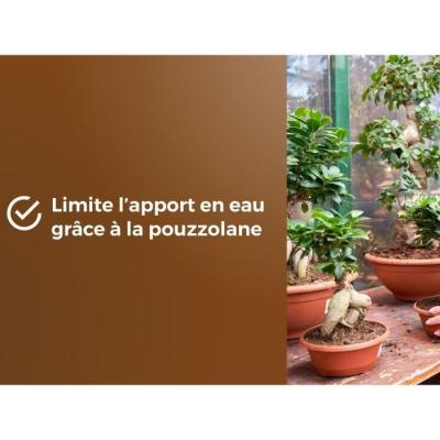 Terreau Bonsais - Enracinement optimal - 6L