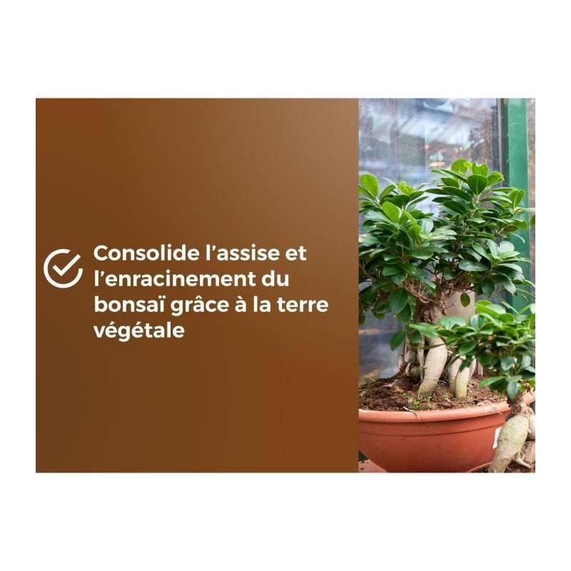 Terreau Bonsais - Enracinement optimal - 6L