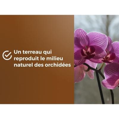 Terreau orchidées OR BRUN - Favorise croissance 6L