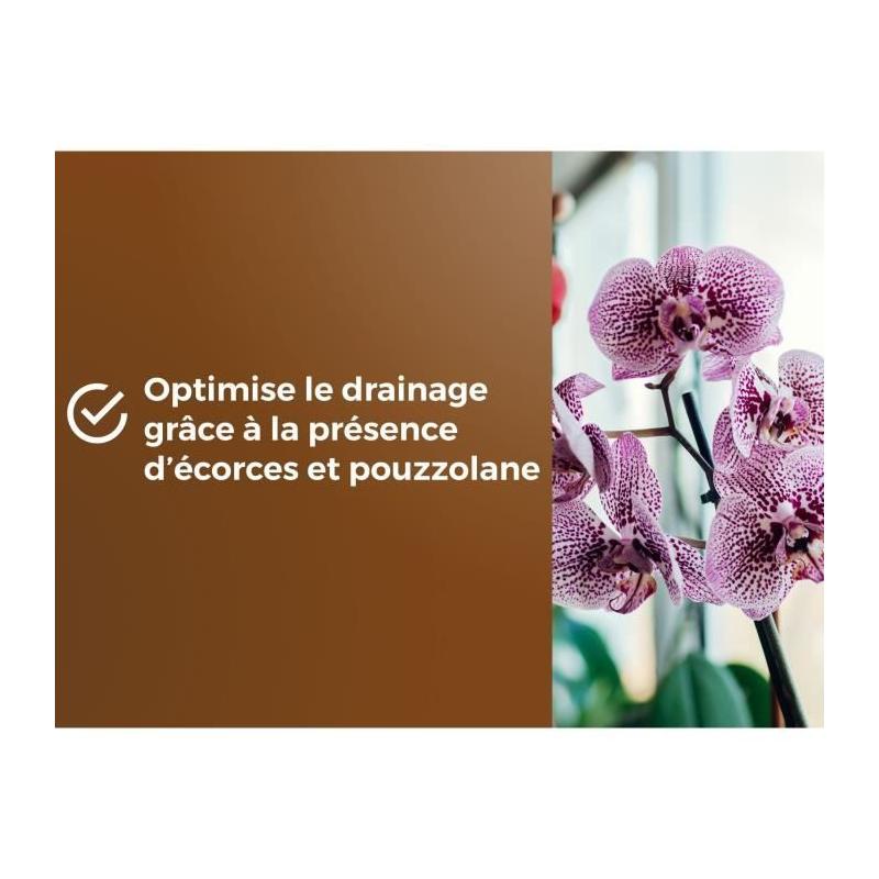 Terreau orchidées OR BRUN - Favorise croissance 6L