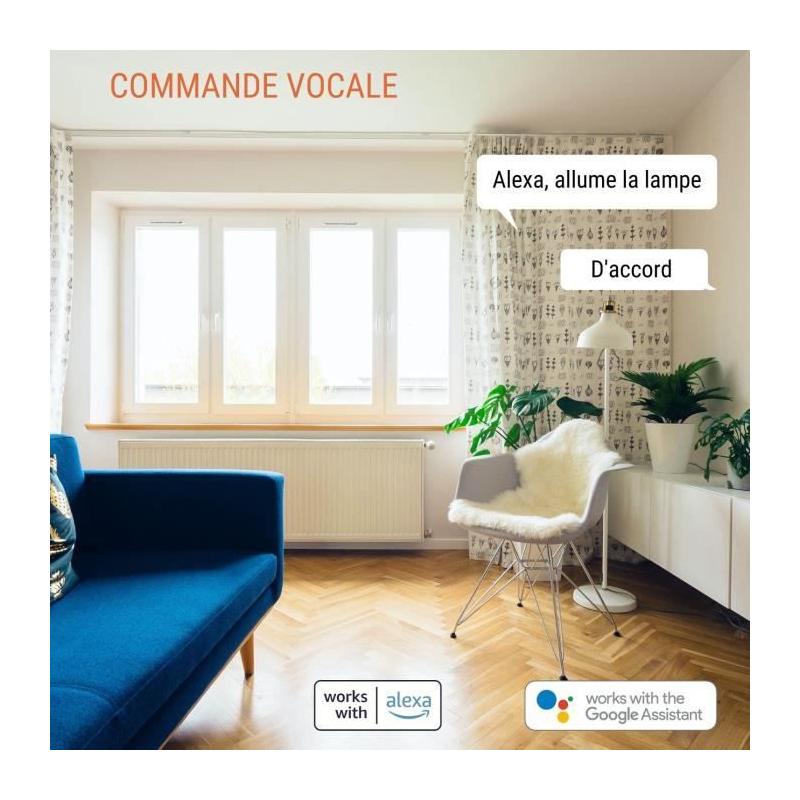 Lot de 2 prises connectées Wi-Fi + BT - KONYKS - Priska FR Dual Pack