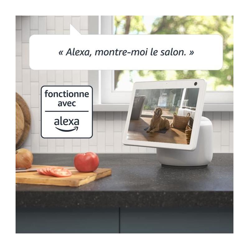 Caméra mini Pan-Tilt - BLINK HOME SECURITY - Blanc | Surveillez en toute discrétion