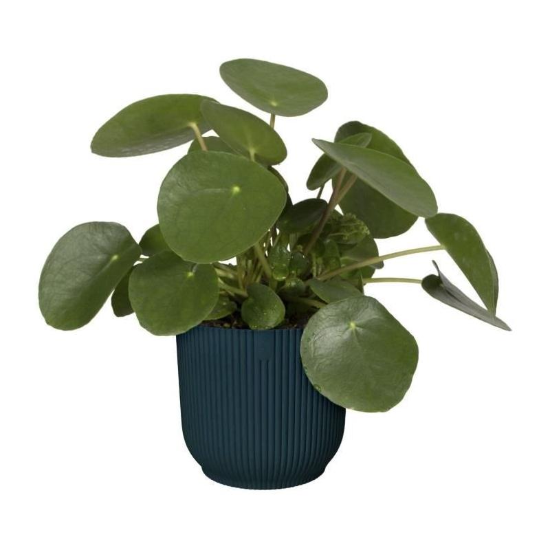 Pot De Fleurs Rond VIBES Bleu Foncé - Ø22 - Plastique de Qualité