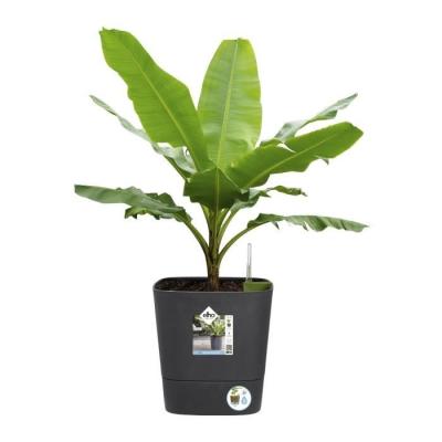 Pot de fleur Elho Plastique Carré Greensense Aqua Care Gris Charbon 15L