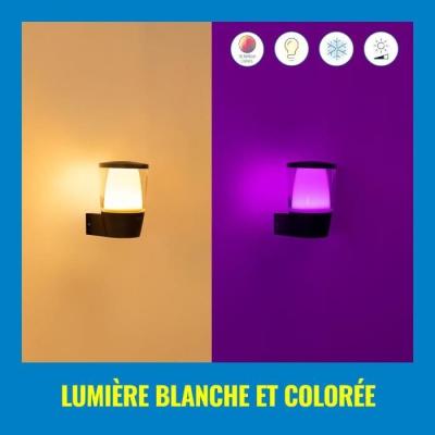 Applique murale WIZ ELPAS - Connectée - Extérieur Noir - Dimensions compactes