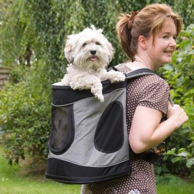 Sac à dos Timon pour chien - Idéal pour les voyages!