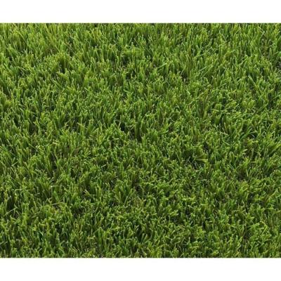 Gazon synthétique EXELGREEN - Park 40mm - 1x5m