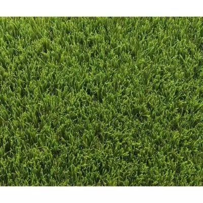Gazon synthétique EXELGREEN - Park 40mm - 1x5m