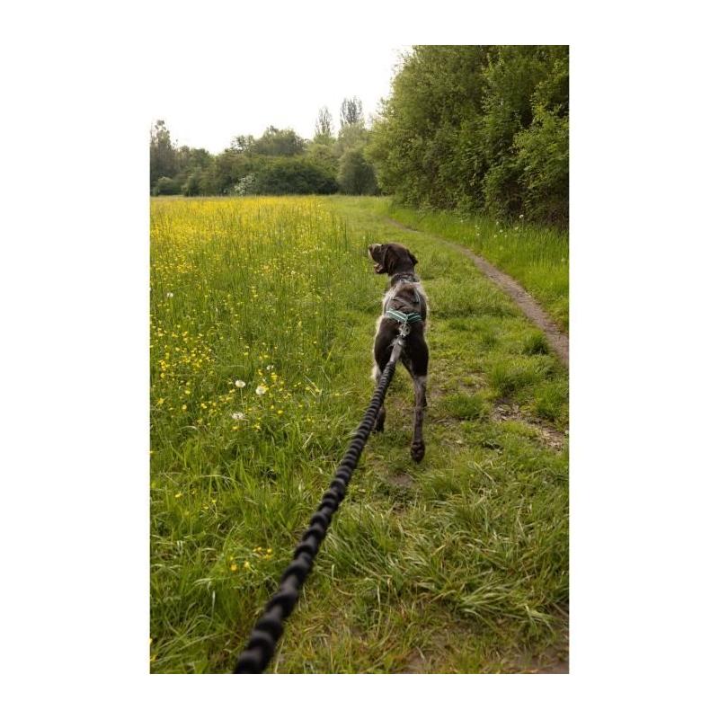 Longe de traction pour chien CLASSICA XL - 2.4m - Chiens jusqu'à 25 kg