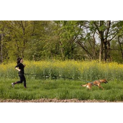 Longe de traction pour chien INTENSIA XL - Noir - 2.4 m