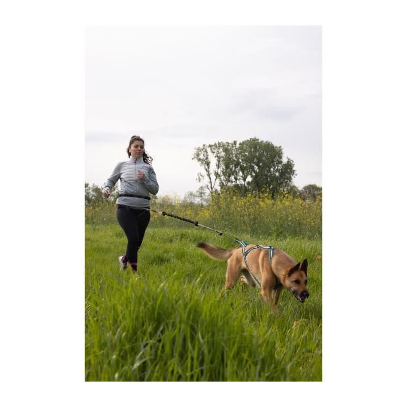 Longe de traction pour chien INTENSIA XL - Noir - 2.4 m