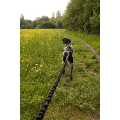 Longe de traction pour chien - CLASSICA - 1.9 m - Chiens jusqu'à 25 kg