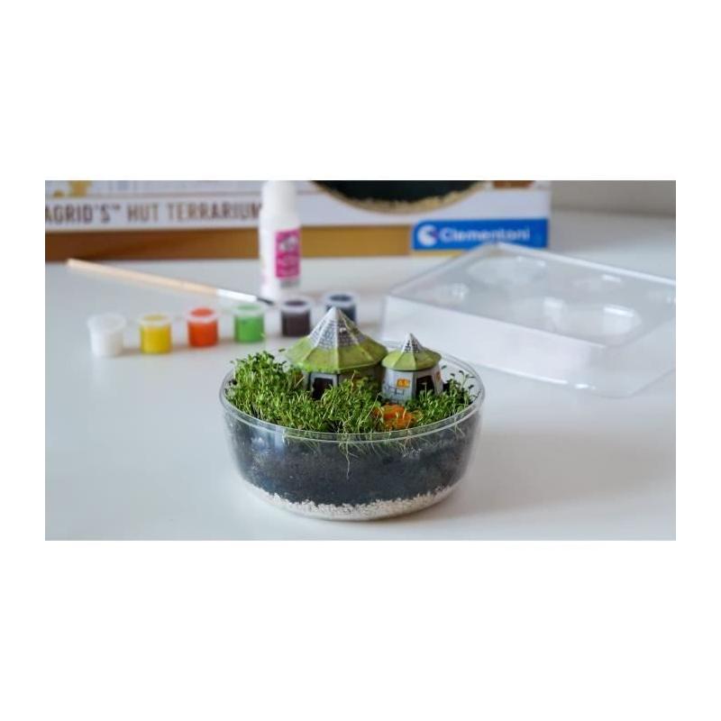 Terrarium Harry Potter - Cabane Hagrid à reproduire
