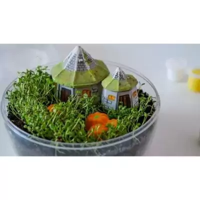 Terrarium Harry Potter - Cabane Hagrid à reproduire