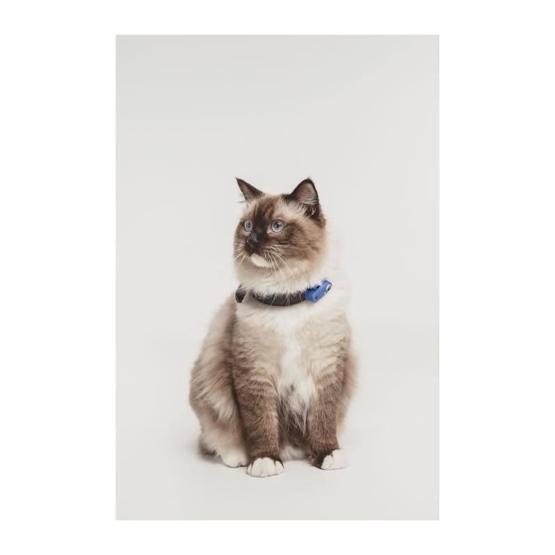 Répulsif ultrason chat TICKLESS MINI CAT - Anti-tiques et puces - Bleu grec