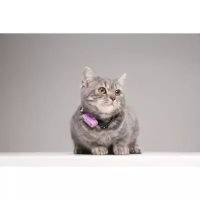 Répulsif ultrason chat - TICKLESS MINI CAT - Protection tiques et puces