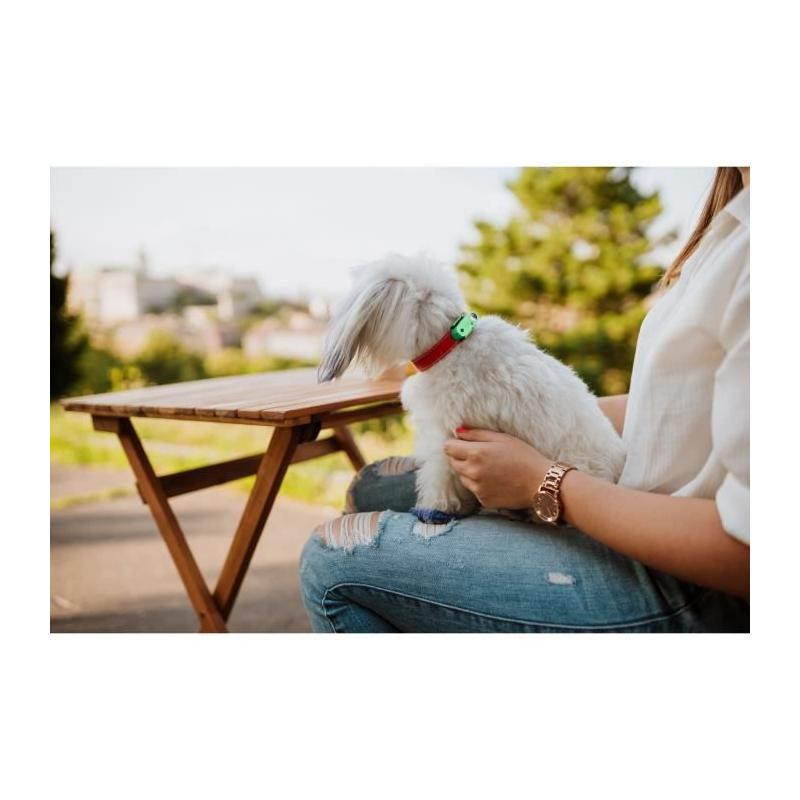 Protégez votre animal avec TICKLESS MINI DOG&CAT - Répulsif ultrason chien - Mentha Green