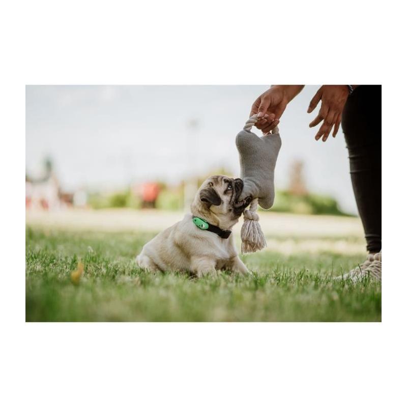Protégez votre animal avec TICKLESS MINI DOG&CAT - Répulsif ultrason chien - Mentha Green