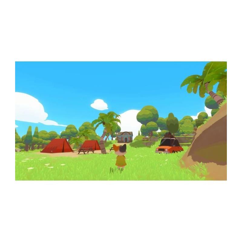 Petit Island - Jeu Nintendo Switch | Dimensions compactes : 11x17x2 cm