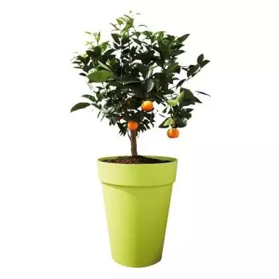 Pot de fleur Elho Rond Loft Urban Gris anthracite Ø34 x 45,6 cm 23 l