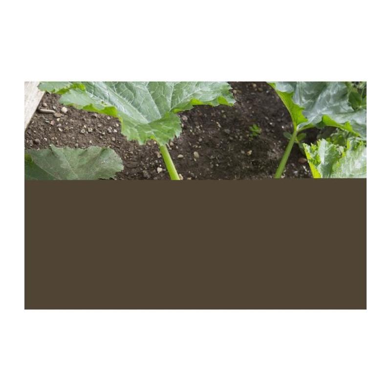 Manche télescopique GARDENA Combisystem 90-145cm | Aluminium anti-dérapant