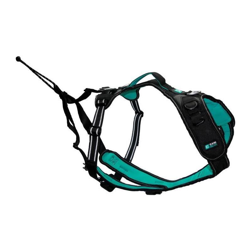 Harnais pour chien - SYMBIOZ M - Noir / Bleu - Confort et style