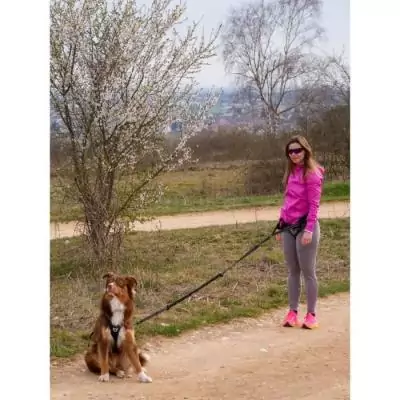 Harnais pour chien - SYMBIOZ M - Noir / Bleu - Confort et style Harnais pour chien - SYMBIOZ M - Noir / Bleu - Confort et style