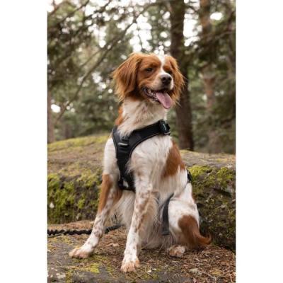 Harnais pour chien - SYMBIOZ M - Noir / Bleu - Confort et style