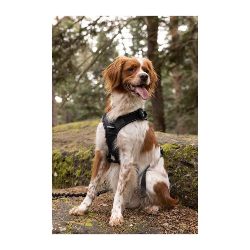 Harnais pour chien - SYMBIOZ M - Noir / Bleu - Confort et style