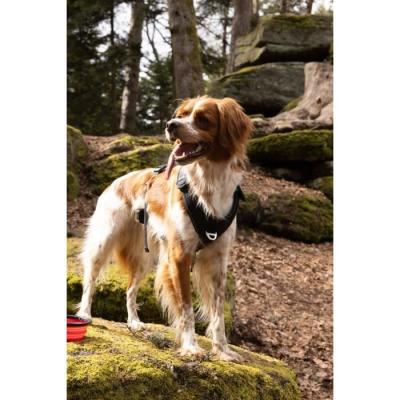 Harnais pour chien - SYMBIOZ M - Noir / Bleu - Confort et style