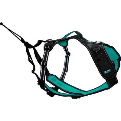 Harnais pour chien SYMBIOZ - Taille S - Design Noir/Bleu