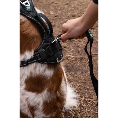 Harnais pour chien SYMBIOZ - Taille S - Design Noir/Bleu