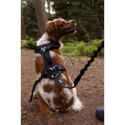 Harnais pour chien SYMBIOZ - Taille S - Design Noir/Bleu